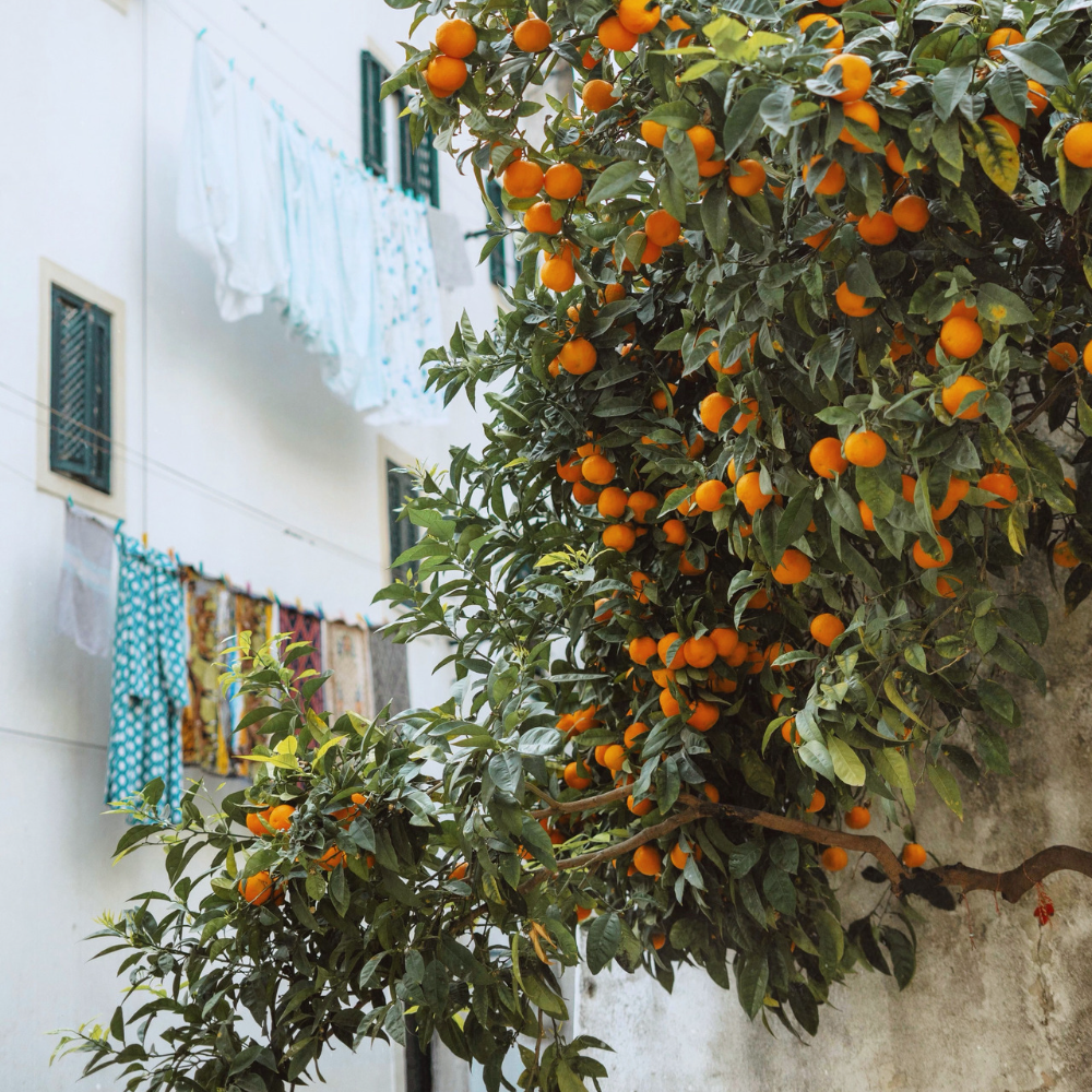 Рефіл для аромадифузору Mandarin Crush