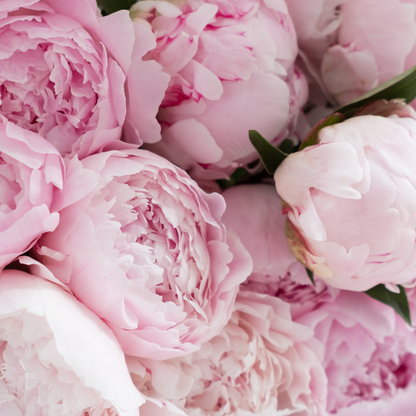 Парфумована аромаолія для свічок Velvet Peony
